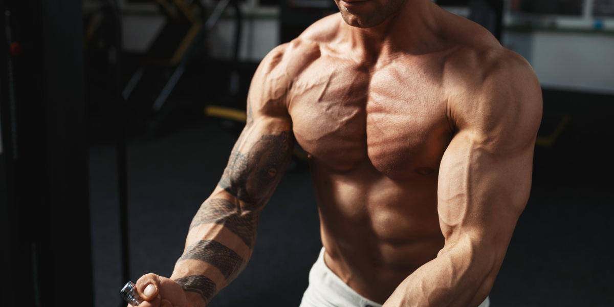 Body Sporcularının Güç ve Kas Artırıcı Antrenman Teknikleri