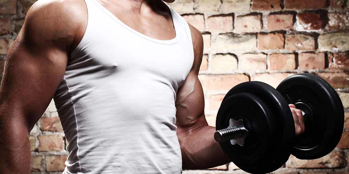 Body sporcularına program tavsiyesi