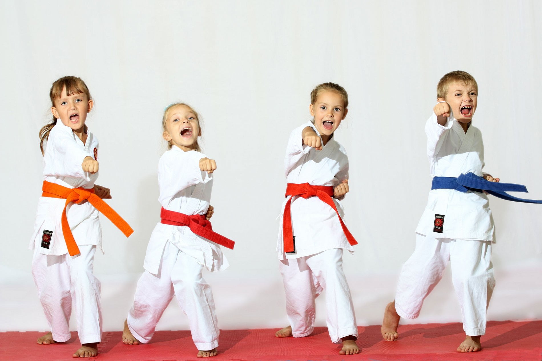 Taekwondo